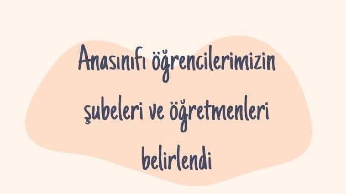 ANASINIFI ÖĞRETMEN ŞUBE LİSTESİ